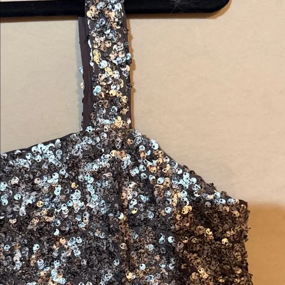 Abercrombie and Fitch Silver Sequin Crop Tank - Picture 4 of 6